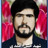 حسن احمدی.jpg